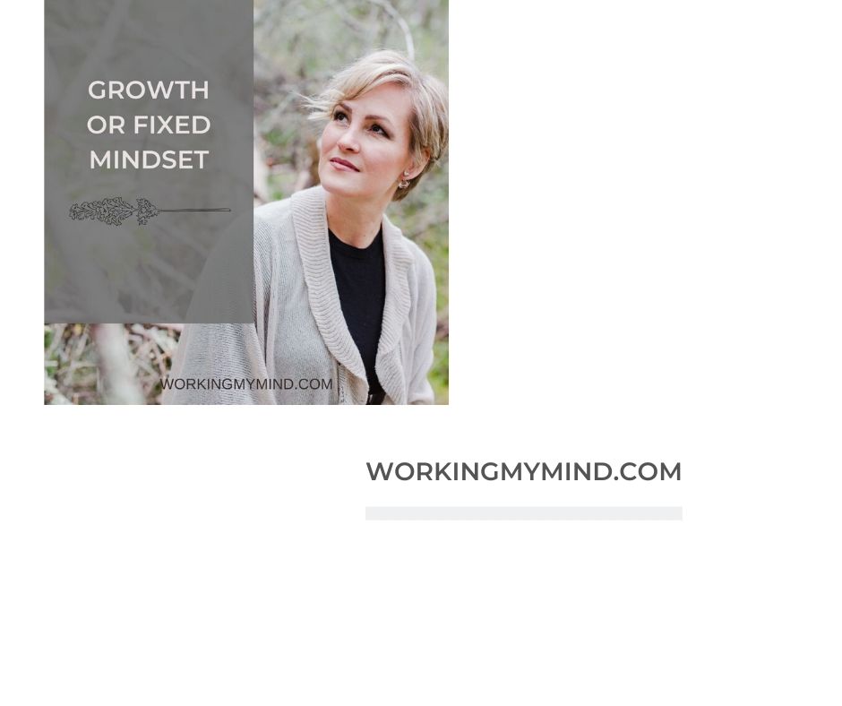 You are currently viewing decide between growth and fixed mindset