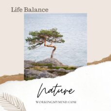 Finding life balance and inner peace in nature